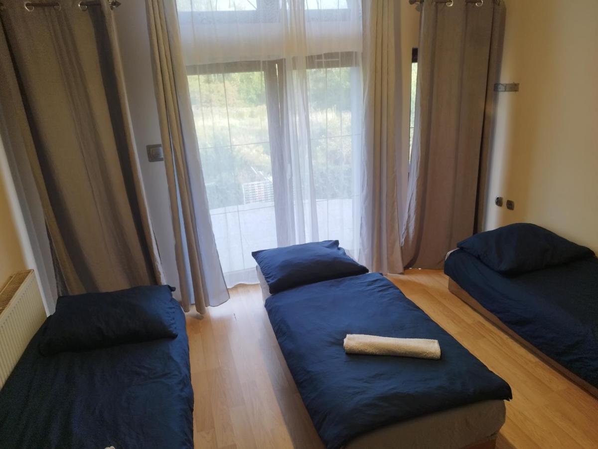 ブンツラウ ペンショナット U ヘレナ Bed & Breakfast エクステリア 写真
