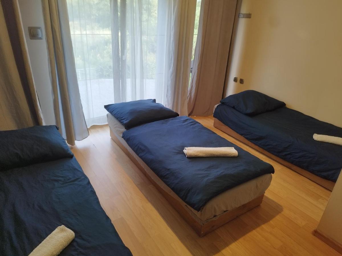 ブンツラウ ペンショナット U ヘレナ Bed & Breakfast エクステリア 写真